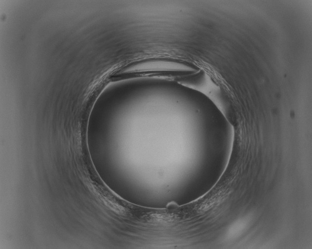 X0000068810442200605121254