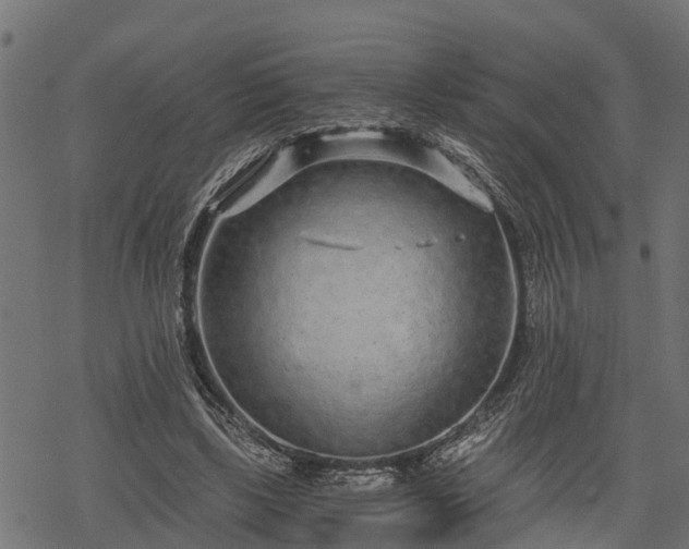 X0000068810443200605121254