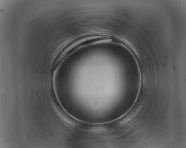 X0000068810445200605121254