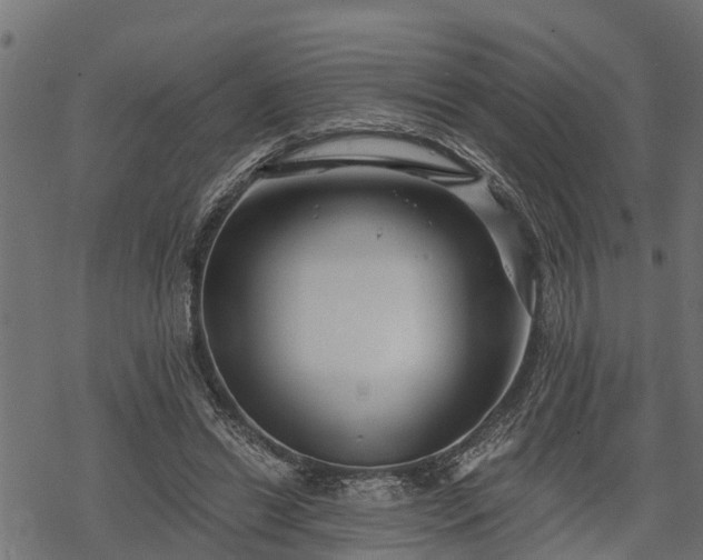 X0000068810446200605121254