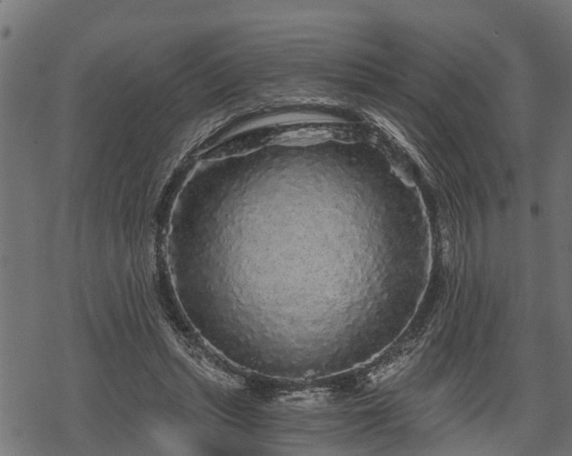 X0000068810447200605121254