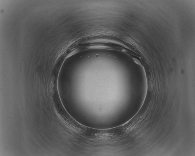 X0000068810448200605121254