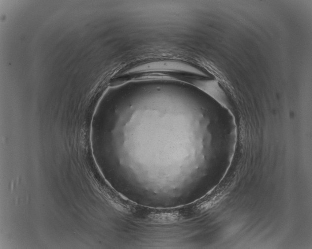 X0000068810449200605121254