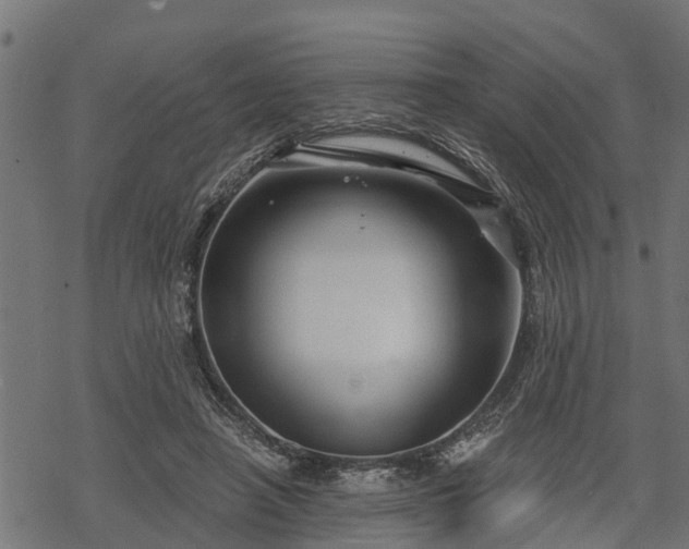 X0000068810450200605121254