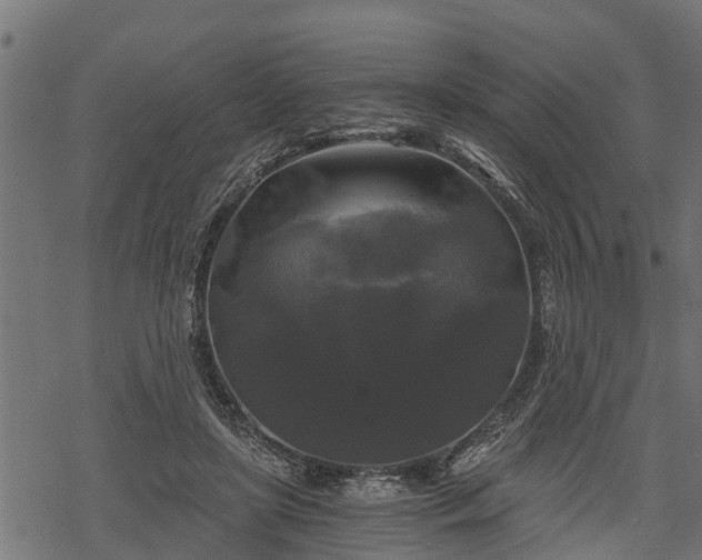 X0000068810451200605121254