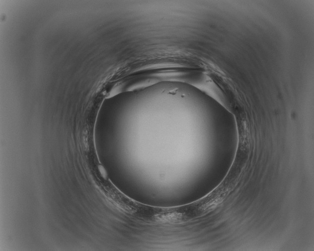 X0000068810452200605121254