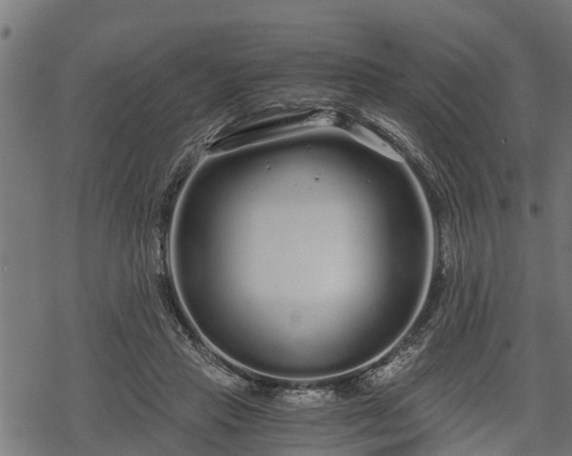 X0000068810453200605121254