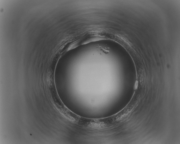 X0000068810455200605121255