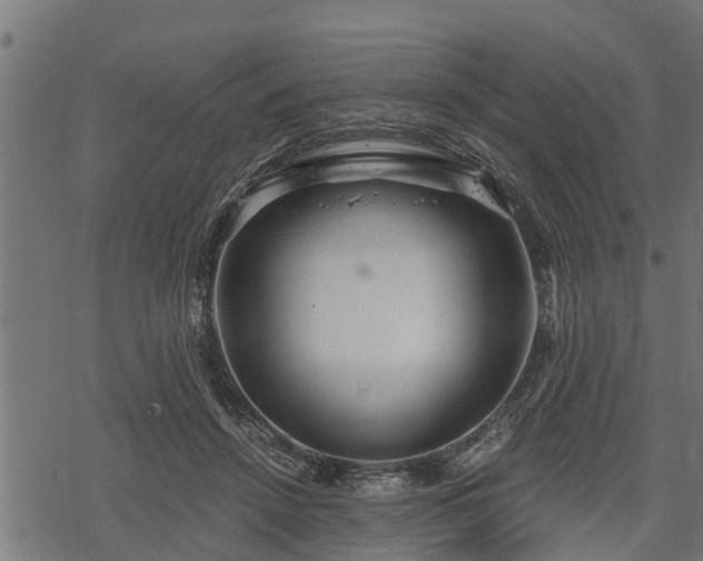 X0000068810456200605121255