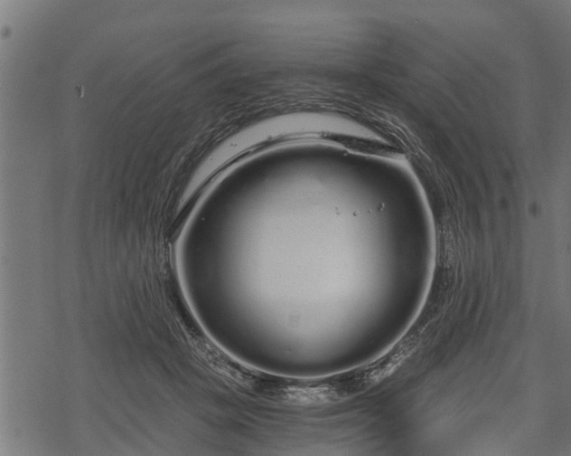 X0000068810457200605121255