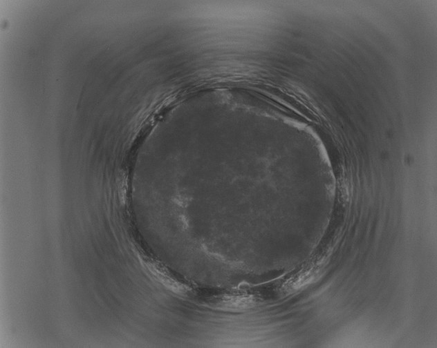 X0000068810458200605121255