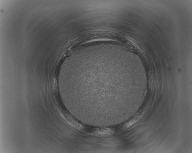 X0000068810459200605121255