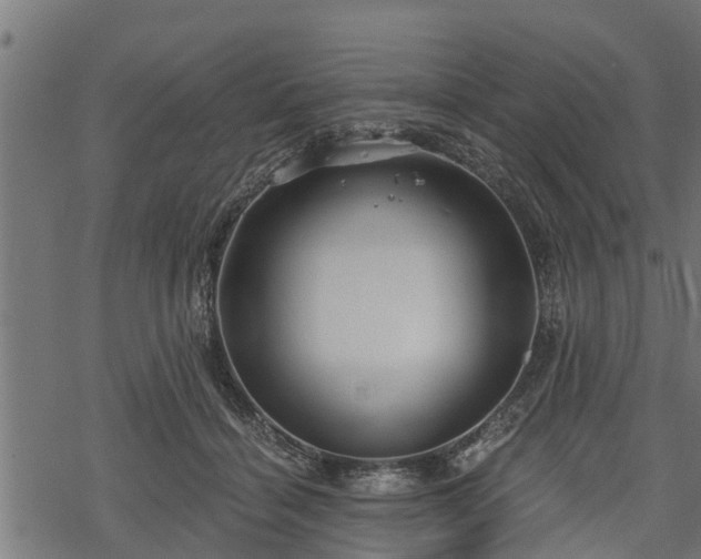 X0000068810460200605121255