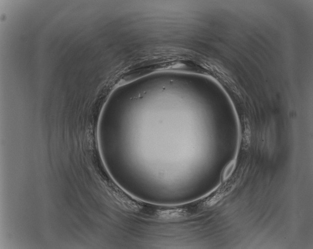 X0000068810461200605121255