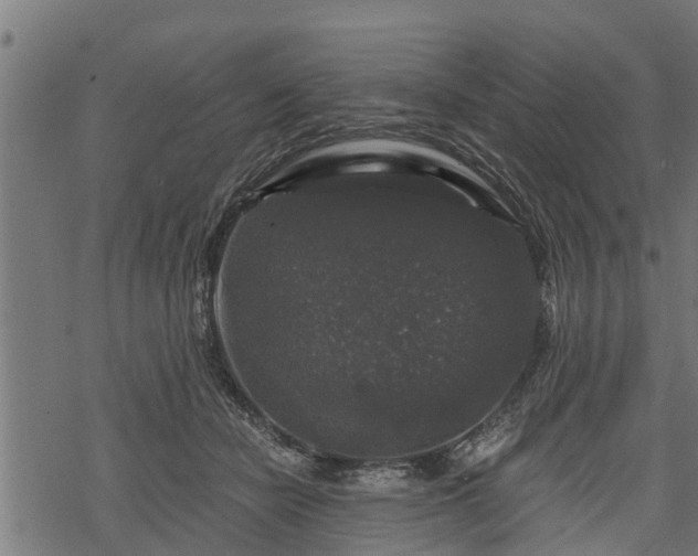 X0000068810462200605121255