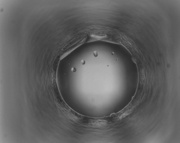 X0000068810463200605121255