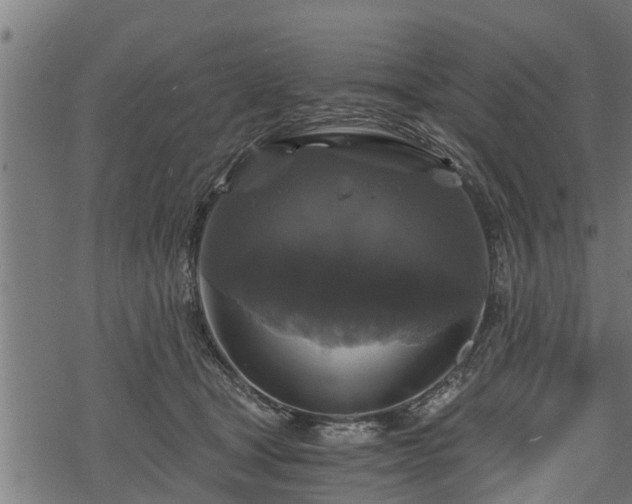 X0000068810465200605121255