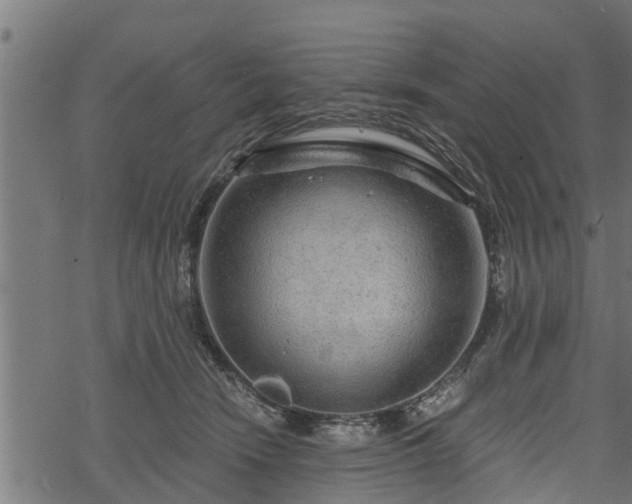 X0000068810466200605121255