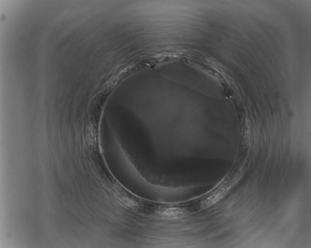 X0000068810467200605121255