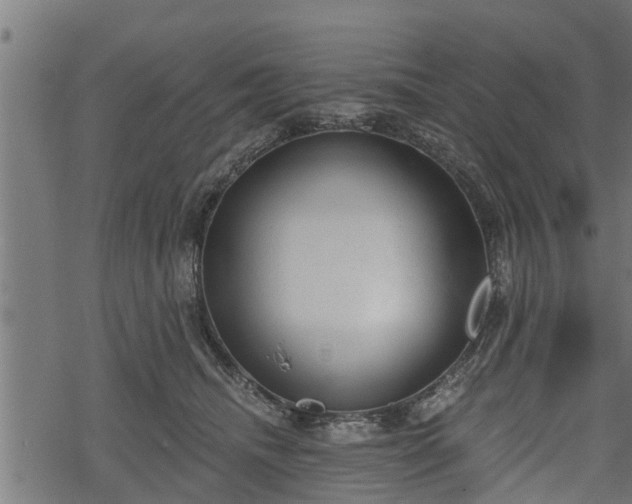 X0000068810468200605121255