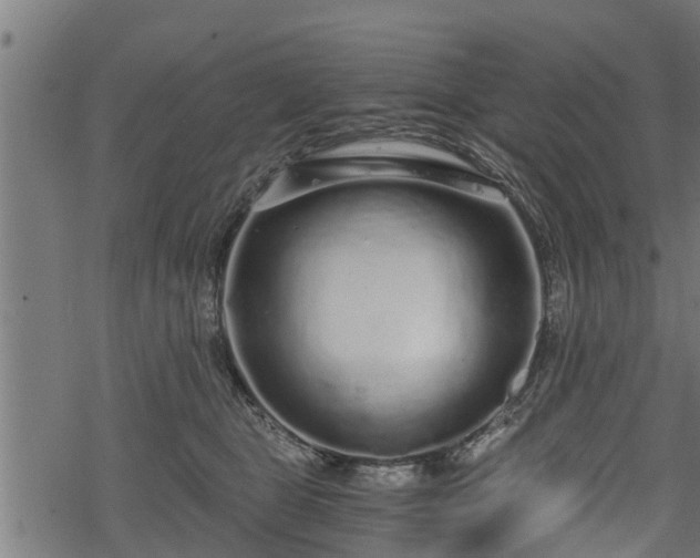 X0000068810469200605121255