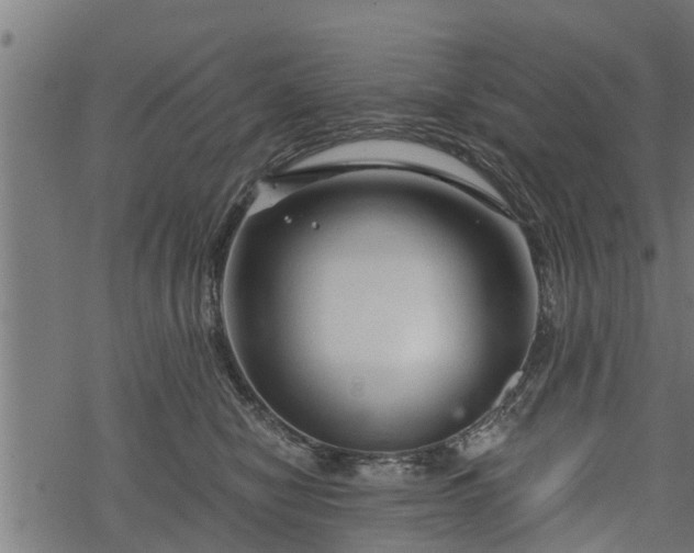 X0000068810470200605121255