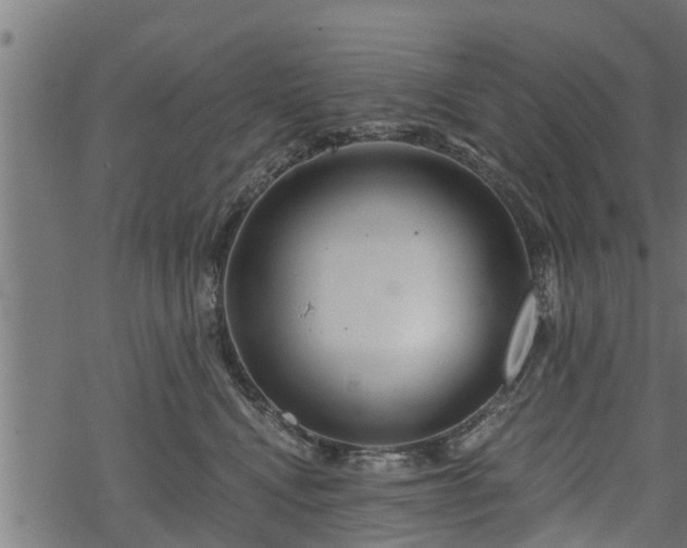 X0000068810472200605121255