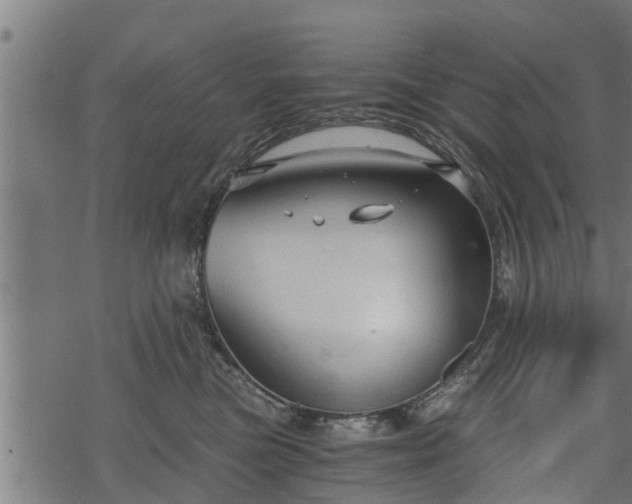 X0000068810473200605121255