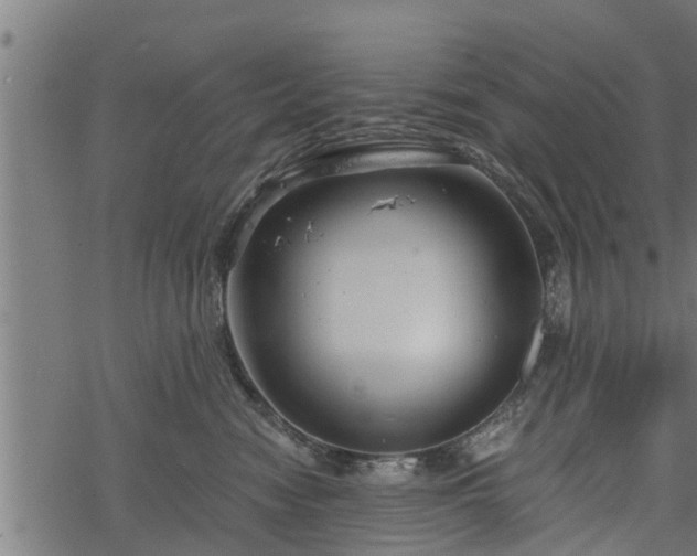 X0000068810474200605121255