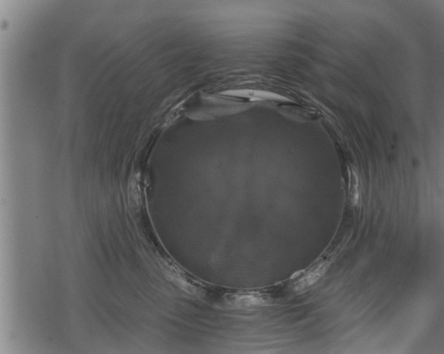 X0000068810475200605121255