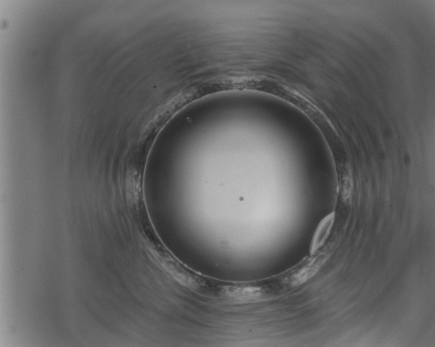 X0000068810476200605121255