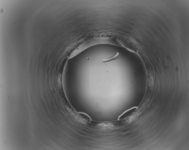 X0000068810477200605121255