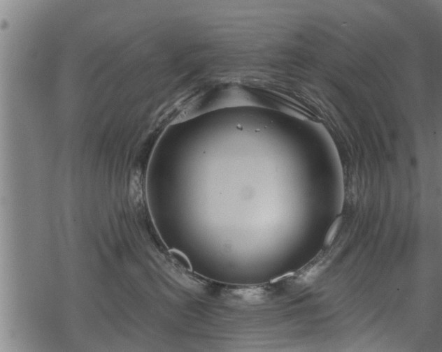 X0000068810478200605121255