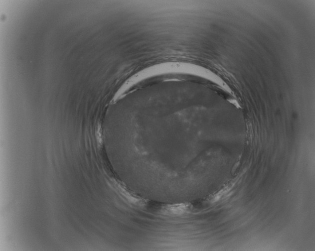 X0000068810479200605121255