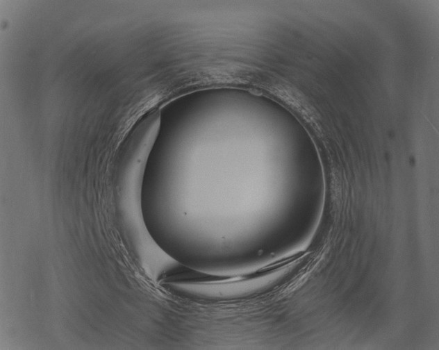 X0000068810481200605121254