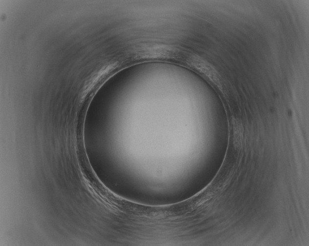 X0000068810482200605121254