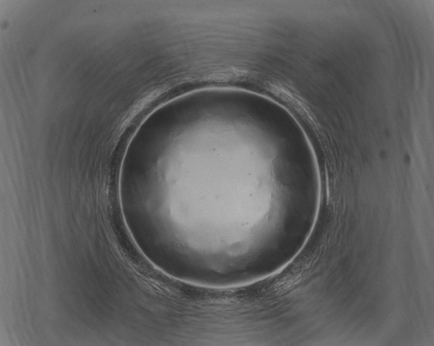 X0000068810483200605121254