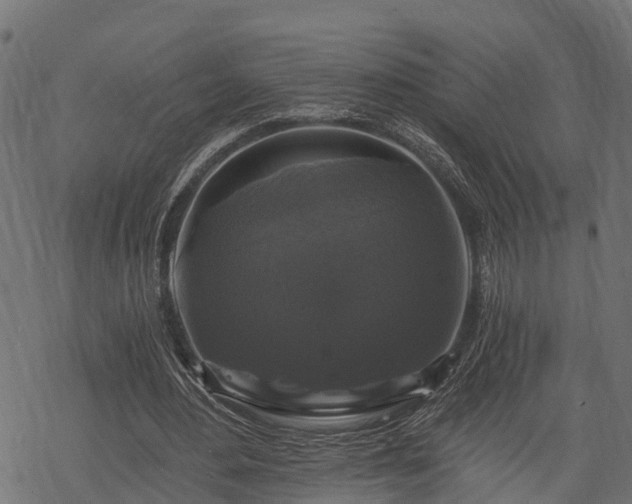 X0000068810484200605121254