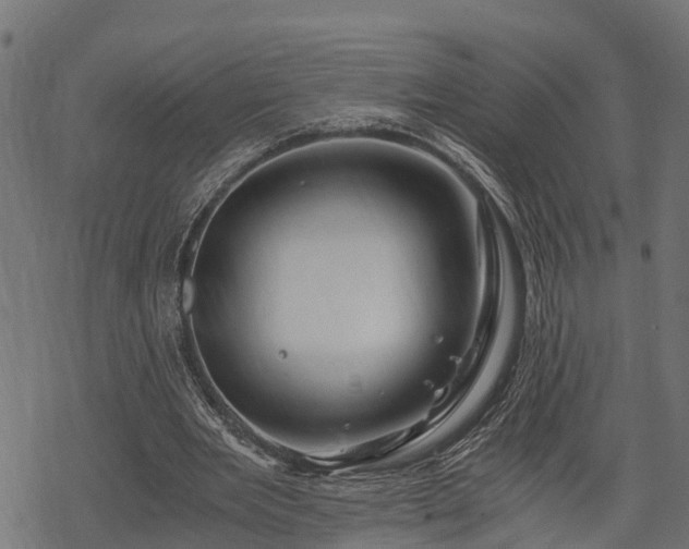 X0000068810485200605121254