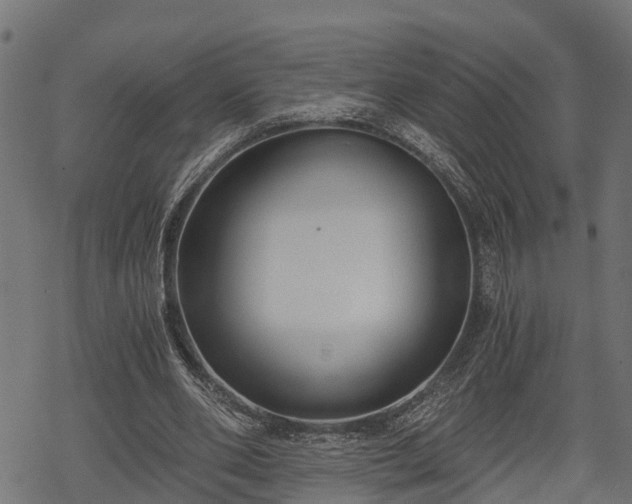 X0000068810486200605121254