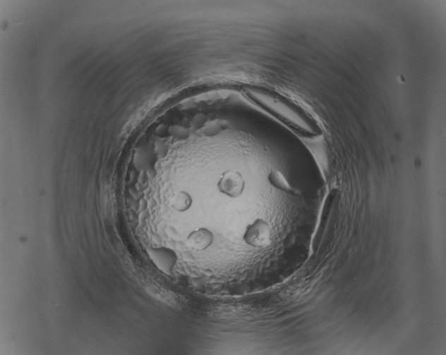 X0000068810487200605121254