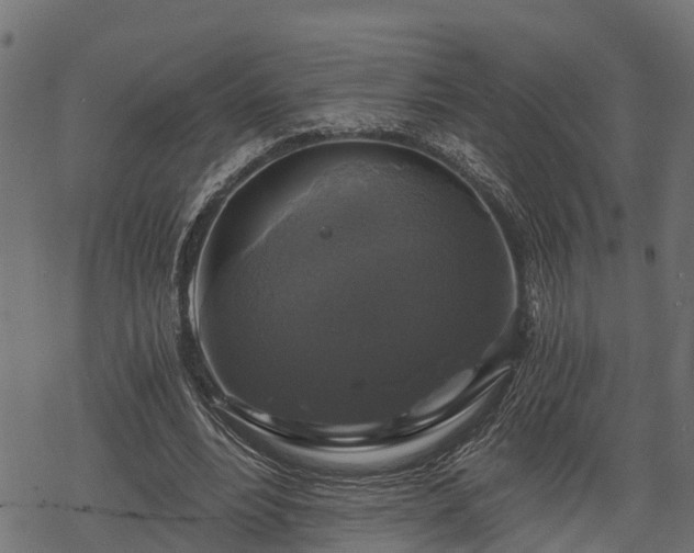 X0000068810488200605121254