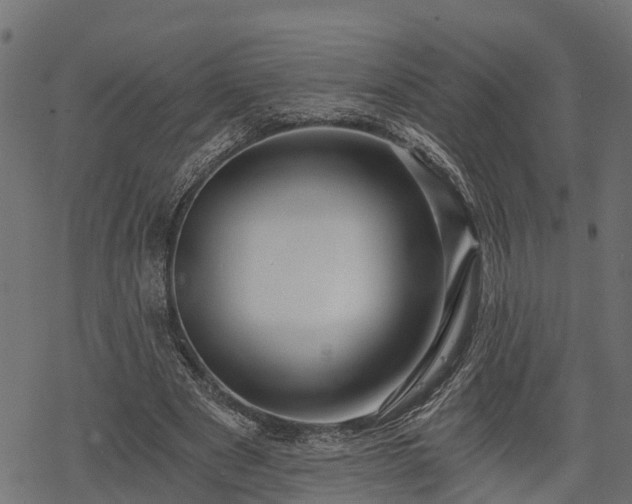 X0000068810489200605121254