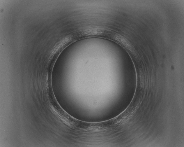 X0000068810490200605121254