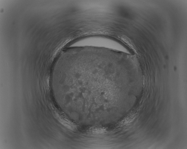 X0000068810491200605121254