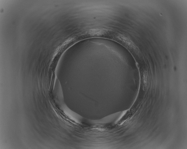 X0000068810492200605121254