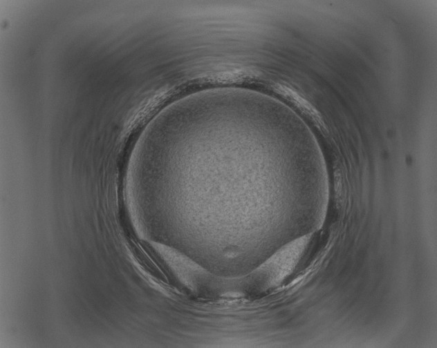 X0000068810493200605121254