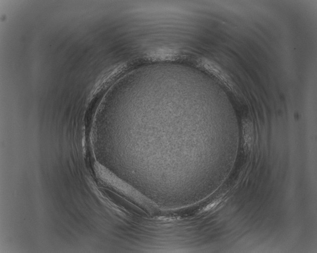 X0000068810494200605121254