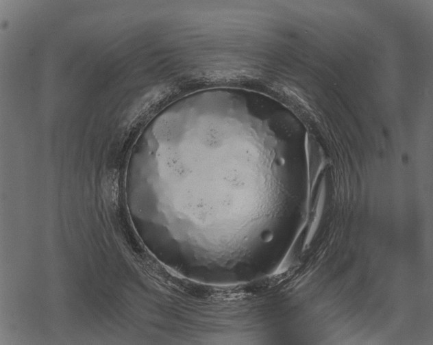 X0000068810495200605121254