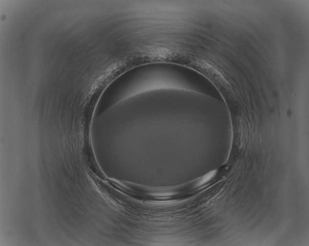 X0000068810496200605121254